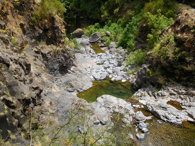 24.07.2015 Balcoes Levada do Juncal Levada Nova do Juncal — Abstecher durch den Tornostunnel zur Ribeira Seca — Foto 13