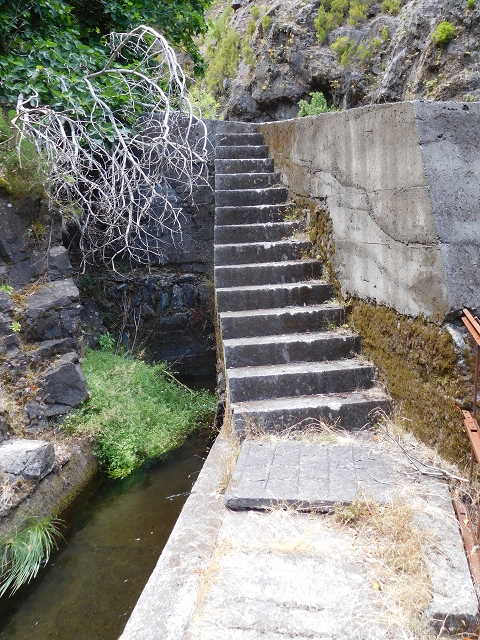 24.07.2015 Balcoes Levada do Juncal Levada Nova do Juncal — Abstecher durch den Tornostunnel zur Ribeira Seca — Foto 16