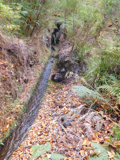 24.07.2015 Balcoes Levada do Juncal Levada Nova do Juncal — Abstecher durch den Tornostunnel zur Ribeira Seca — Foto 18