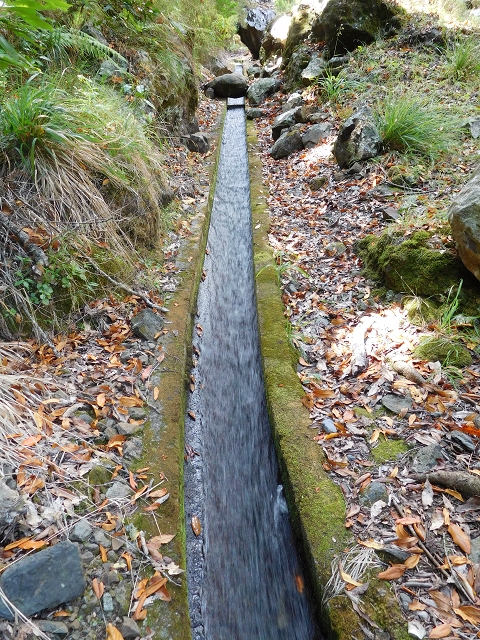 24.07.2015 Balcoes Levada do Juncal Levada Nova do Juncal — Abstecher durch den Tornostunnel zur Ribeira Seca — Foto 20