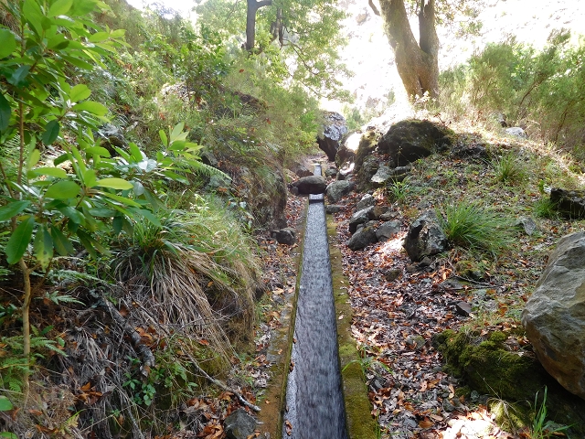 24.07.2015 Balcoes Levada do Juncal Levada Nova do Juncal — Abstecher durch den Tornostunnel zur Ribeira Seca — Foto 21