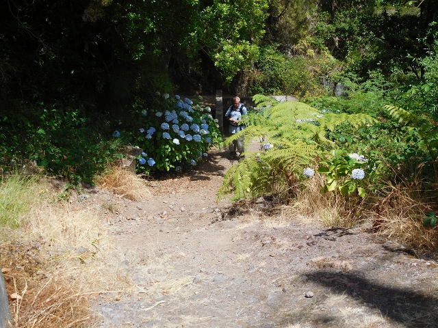 24.07.2015 Balcoes Levada do Juncal Levada Nova do Juncal — Abstecher durch den Tornostunnel zur Ribeira Seca — Foto 26