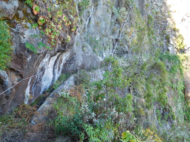 24.07.2015 Balcoes Levada do Juncal Levada Nova do Juncal — Ribeiro Frio zur Levada do Juncal und zum ersten Erdrutsch — Foto 19
