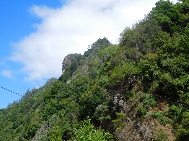 24.07.2015 Balcoes Levada do Juncal Levada Nova do Juncal — Auf der Schotterpiste und Aufstieg zur Levada do Juncal — Foto 3