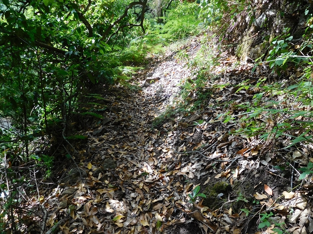 24.07.2015 Balcoes Levada do Juncal Levada Nova do Juncal — Auf der Schotterpiste und Aufstieg zur Levada do Juncal — Foto 6