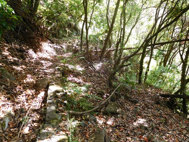 24.07.2015 Balcoes Levada do Juncal Levada Nova do Juncal — Auf der Schotterpiste und Aufstieg zur Levada do Juncal — Foto 7