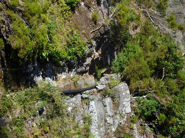 24.07.2015 Balcoes Levada do Juncal Levada Nova do Juncal — Ribeiro Frio zur Levada do Juncal und zum ersten Erdrutsch — Foto 23