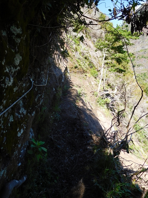 24.07.2015 Balcoes Levada do Juncal Levada Nova do Juncal — Vom ersten zum zweiten Erdrutsch — Foto 1