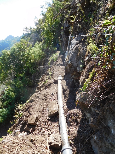 24.07.2015 Balcoes Levada do Juncal Levada Nova do Juncal — Vom ersten zum zweiten Erdrutsch — Foto 2