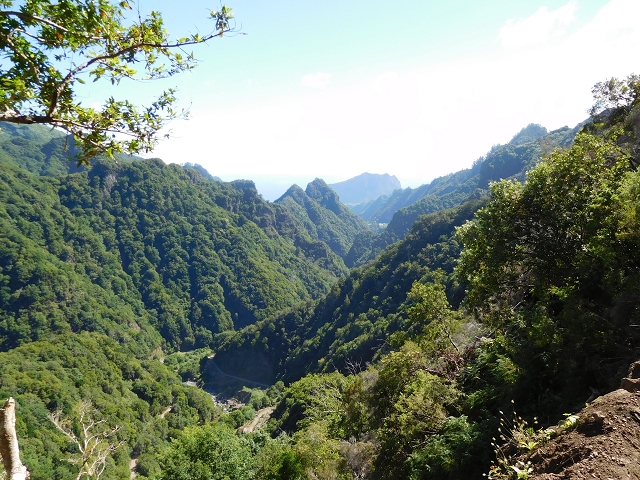 24.07.2015 Balcoes Levada do Juncal Levada Nova do Juncal — Vom ersten zum zweiten Erdrutsch — Foto 3