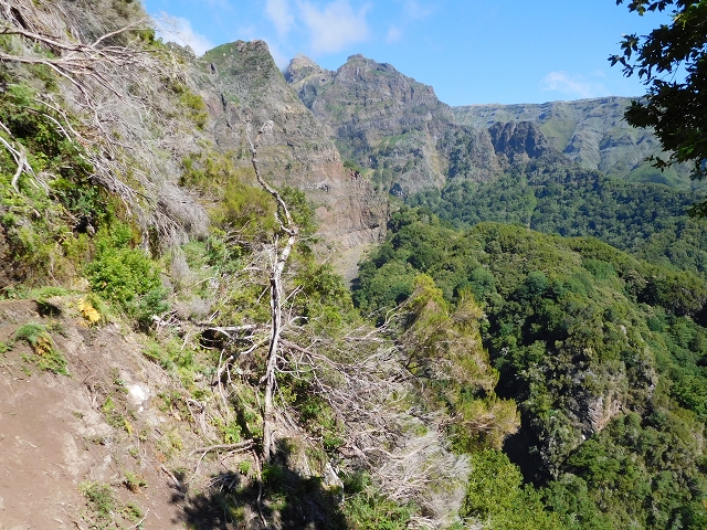 24.07.2015 Balcoes Levada do Juncal Levada Nova do Juncal — Vom ersten zum zweiten Erdrutsch — Foto 4