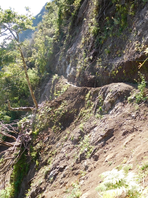 24.07.2015 Balcoes Levada do Juncal Levada Nova do Juncal — Vom ersten zum zweiten Erdrutsch — Foto 5
