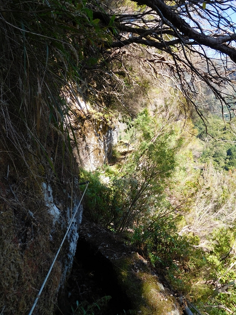 24.07.2015 Balcoes Levada do Juncal Levada Nova do Juncal — Vom ersten zum zweiten Erdrutsch — Foto 6