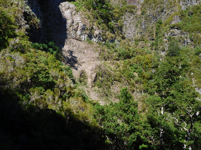 24.07.2015 Balcoes Levada do Juncal Levada Nova do Juncal — Vom ersten zum zweiten Erdrutsch — Foto 9