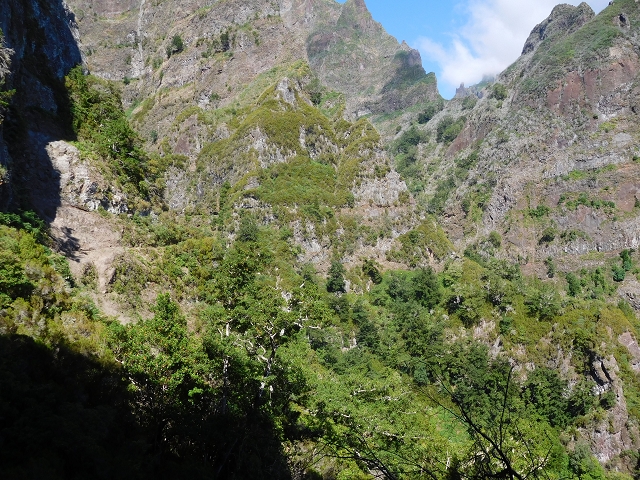 24.07.2015 Balcoes Levada do Juncal Levada Nova do Juncal — Vom ersten zum zweiten Erdrutsch — Foto 10