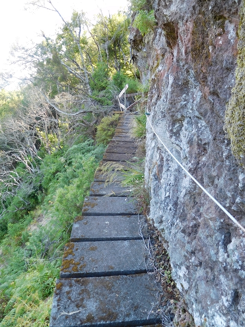 24.07.2015 Balcoes Levada do Juncal Levada Nova do Juncal — Ribeiro Frio zur Levada do Juncal und zum ersten Erdrutsch — Foto 4