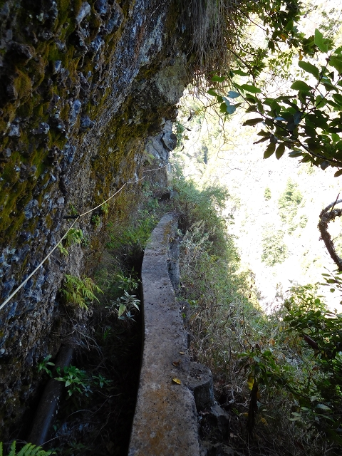 24.07.2015 Balcoes Levada do Juncal Levada Nova do Juncal — Vom ersten zum zweiten Erdrutsch — Foto 16