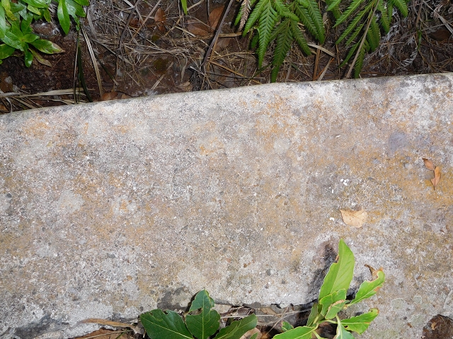 24.07.2015 Balcoes Levada do Juncal Levada Nova do Juncal — Weiter zur aktuellen Madre — Foto 1