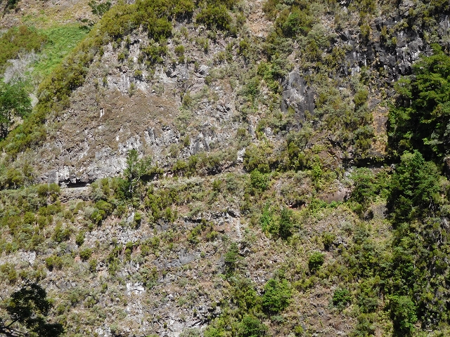 24.07.2015 Balcoes Levada do Juncal Levada Nova do Juncal — Weiter zur aktuellen Madre — Foto 2