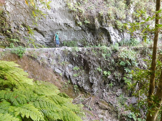 24.07.2015 Balcoes Levada do Juncal Levada Nova do Juncal — Weiter zur aktuellen Madre — Foto 4