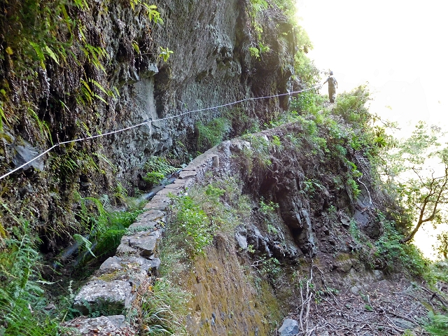 24.07.2015 Balcoes Levada do Juncal Levada Nova do Juncal — Weiter zur aktuellen Madre — Foto 5