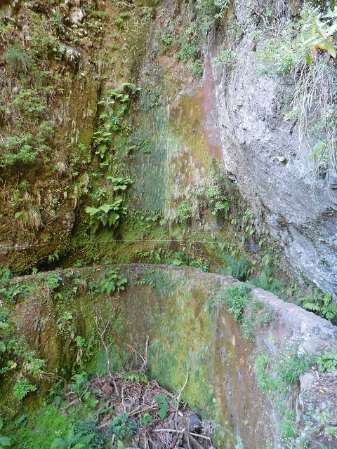 24.07.2015 Balcoes Levada do Juncal Levada Nova do Juncal — Weiter zur aktuellen Madre — Foto 6