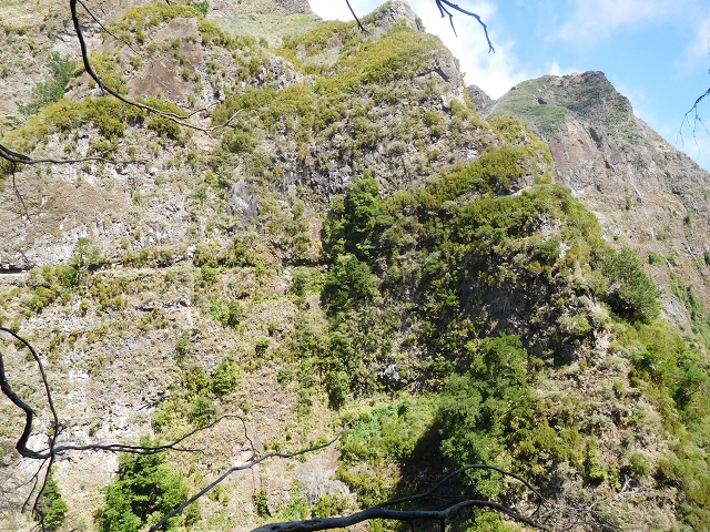 24.07.2015 Balcoes Levada do Juncal Levada Nova do Juncal — Weiter zur aktuellen Madre — Foto 7