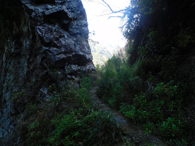 24.07.2015 Balcoes Levada do Juncal Levada Nova do Juncal — Ribeiro Frio zur Levada do Juncal und zum ersten Erdrutsch — Foto 5