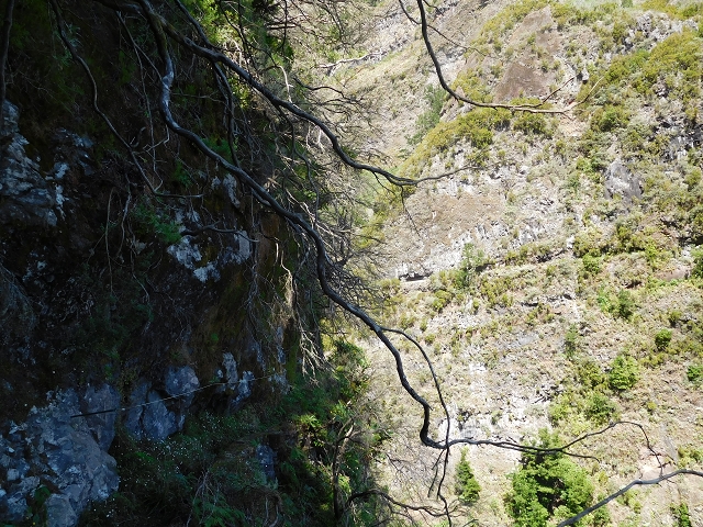 24.07.2015 Balcoes Levada do Juncal Levada Nova do Juncal — Weiter zur aktuellen Madre — Foto 8