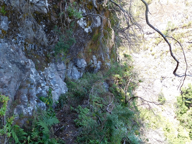 24.07.2015 Balcoes Levada do Juncal Levada Nova do Juncal — Weiter zur aktuellen Madre — Foto 9