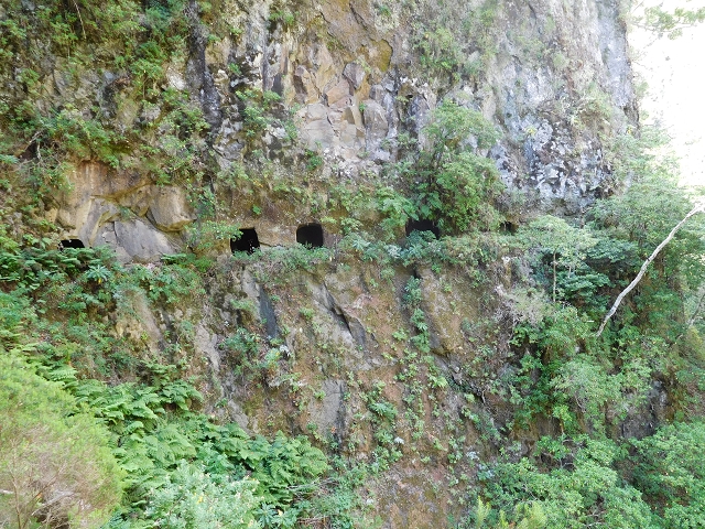 24.07.2015 Balcoes Levada do Juncal Levada Nova do Juncal — Weiter zur aktuellen Madre — Foto 11