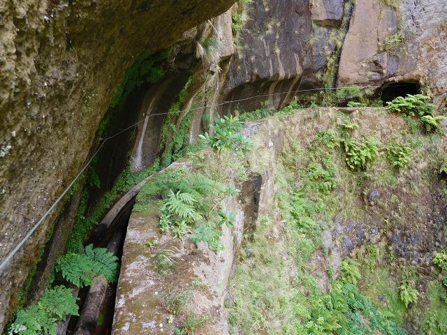 24.07.2015 Balcoes Levada do Juncal Levada Nova do Juncal — Weiter zur aktuellen Madre — Foto 12