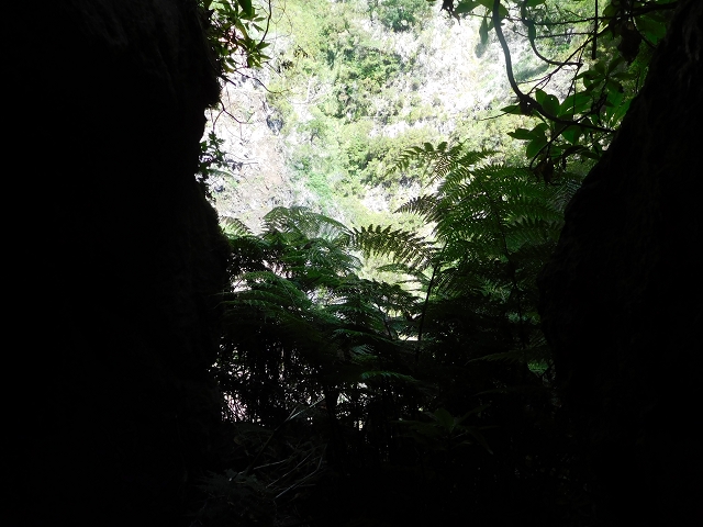 24.07.2015 Balcoes Levada do Juncal Levada Nova do Juncal — Weiter zur aktuellen Madre — Foto 14