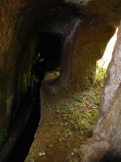 24.07.2015 Balcoes Levada do Juncal Levada Nova do Juncal — Weiter zur aktuellen Madre — Foto 15