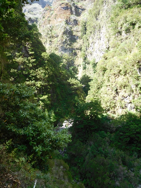 24.07.2015 Balcoes Levada do Juncal Levada Nova do Juncal — Weiter zur aktuellen Madre — Foto 16