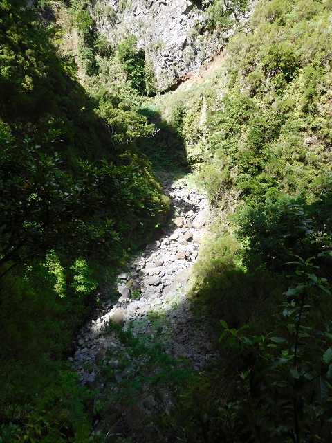 24.07.2015 Balcoes Levada do Juncal Levada Nova do Juncal — Weiter zur aktuellen Madre — Foto 17