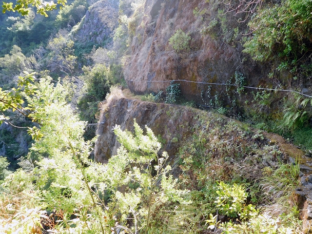 24.07.2015 Balcoes Levada do Juncal Levada Nova do Juncal — Ribeiro Frio zur Levada do Juncal und zum ersten Erdrutsch — Foto 6