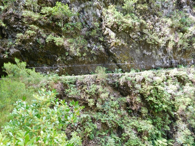 24.07.2015 Balcoes Levada do Juncal Levada Nova do Juncal — Weiter zur aktuellen Madre — Foto 18