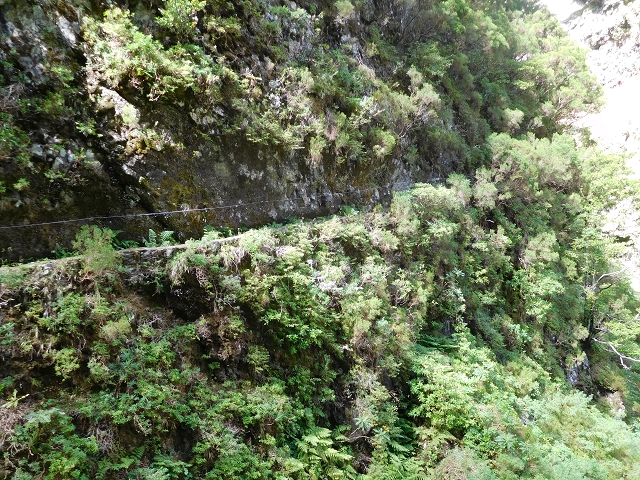 24.07.2015 Balcoes Levada do Juncal Levada Nova do Juncal — Weiter zur aktuellen Madre — Foto 19