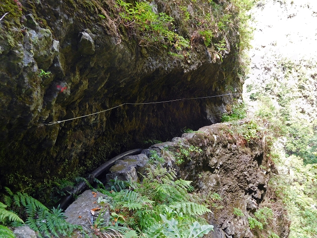 24.07.2015 Balcoes Levada do Juncal Levada Nova do Juncal — Weiter zur aktuellen Madre — Foto 21