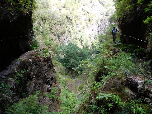 24.07.2015 Balcoes Levada do Juncal Levada Nova do Juncal — Weiter zur aktuellen Madre — Foto 22
