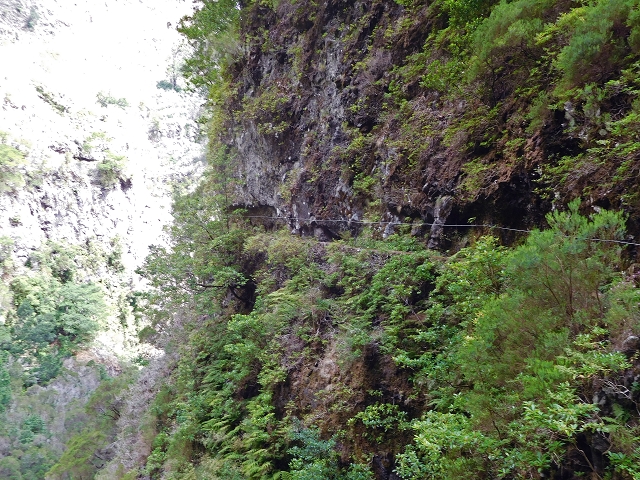 24.07.2015 Balcoes Levada do Juncal Levada Nova do Juncal — Weiter zur aktuellen Madre — Foto 23