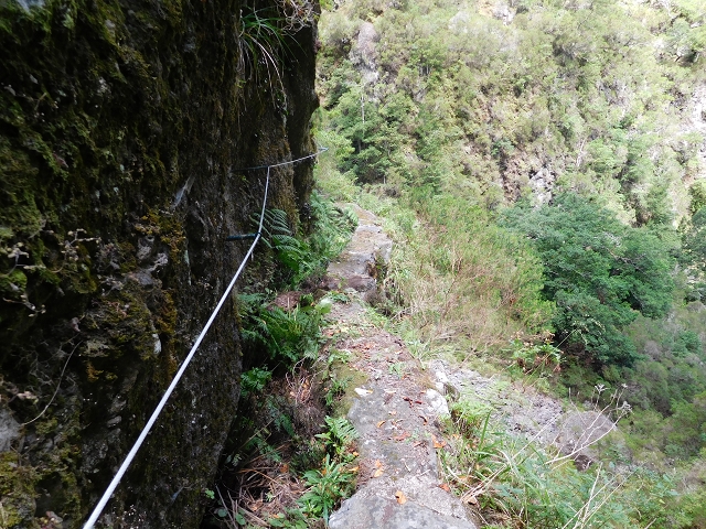 24.07.2015 Balcoes Levada do Juncal Levada Nova do Juncal — Weiter zur aktuellen Madre — Foto 24
