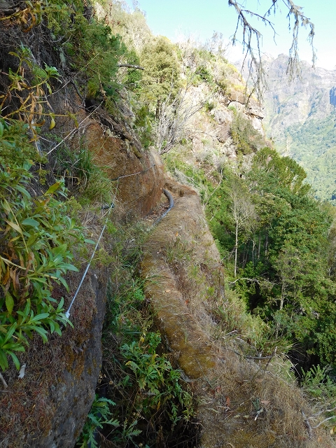 24.07.2015 Balcoes Levada do Juncal Levada Nova do Juncal — Ribeiro Frio zur Levada do Juncal und zum ersten Erdrutsch — Foto 7