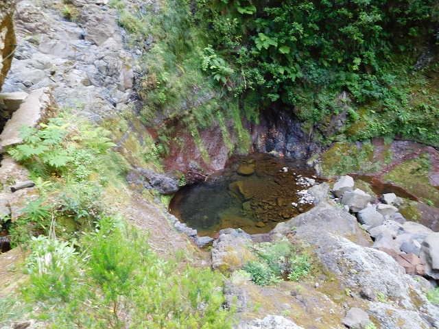 24.07.2015 Balcoes Levada do Juncal Levada Nova do Juncal — Weiter zur aktuellen Madre — Foto 28