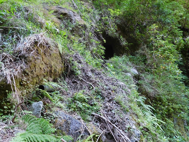 24.07.2015 Balcoes Levada do Juncal Levada Nova do Juncal — Abstecher zu den Galerietunnels der Levada dos Accionistas — Foto 1