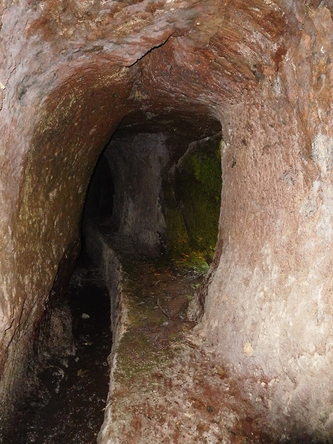 24.07.2015 Balcoes Levada do Juncal Levada Nova do Juncal — Abstecher zu den Galerietunnels der Levada dos Accionistas — Foto 4