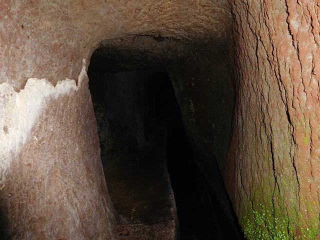 24.07.2015 Balcoes Levada do Juncal Levada Nova do Juncal — Abstecher zu den Galerietunnels der Levada dos Accionistas — Foto 6