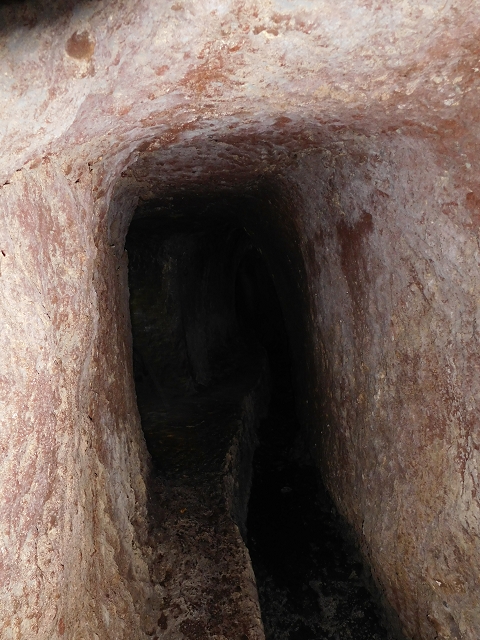 24.07.2015 Balcoes Levada do Juncal Levada Nova do Juncal — Abstecher zu den Galerietunnels der Levada dos Accionistas — Foto 7
