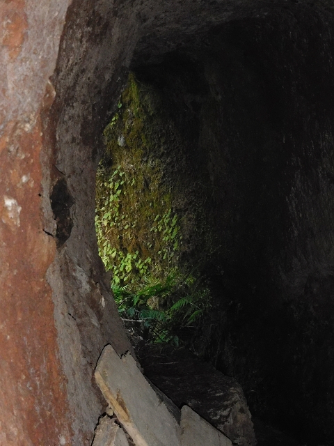 24.07.2015 Balcoes Levada do Juncal Levada Nova do Juncal — Abstecher zu den Galerietunnels der Levada dos Accionistas — Foto 8